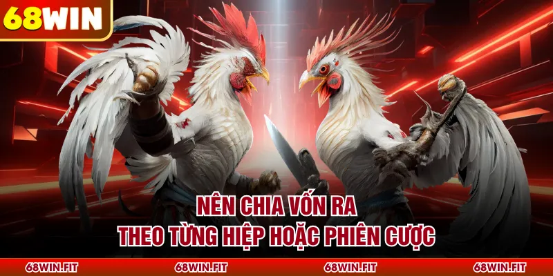 Nên chia vốn ra theo từng hiệp hoặc phiên cược